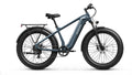 Beagle Ebike - Gray
