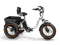 Alaskan Etrike - White / Edition Long Battery Life