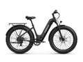 Beagle 2 ST Ebike - Black