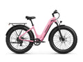 Beagle 2 ST Ebike