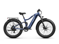Boxer Ebike - Grey Blue