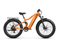 Boxer Ebike - Orange