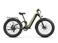 Boxer ST Ebike - Light Green