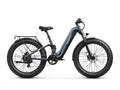 Boxer ST Ebike - Metallic Gray