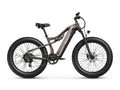 Labrador Pro Ebike - Plating Gray