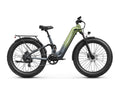 Labrador Pro ST Ebike - Gray-Green