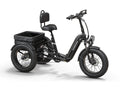Rottweiler Etrike - Black