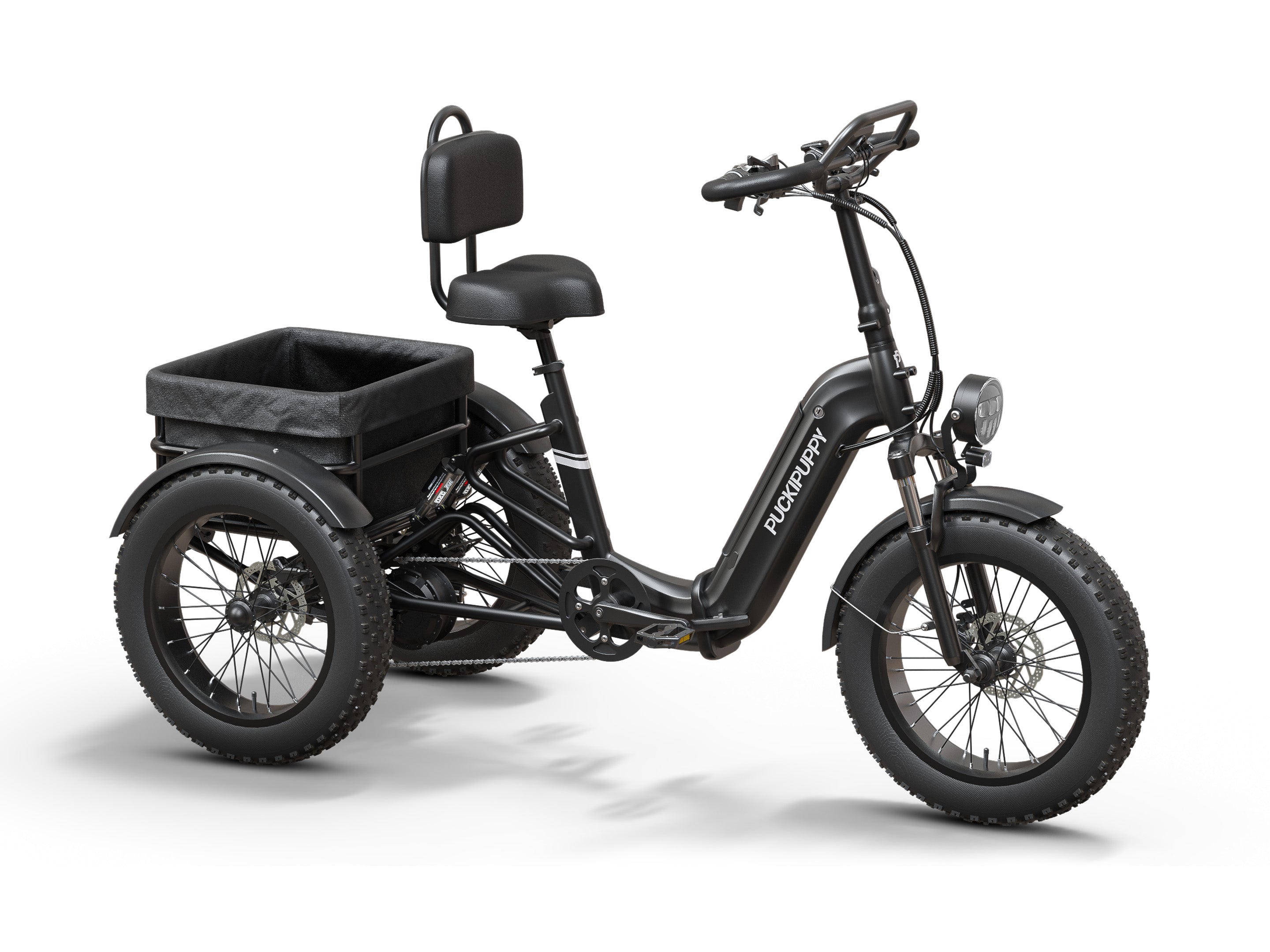 Rottweiler Etrike - Black