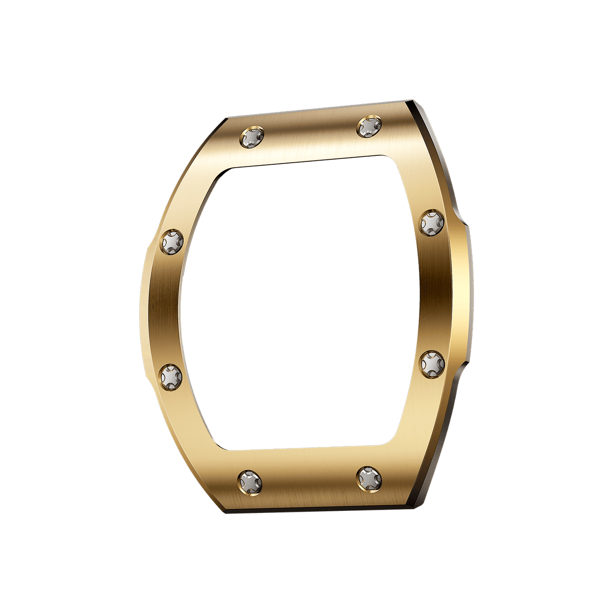 Stainless Steel Bezel